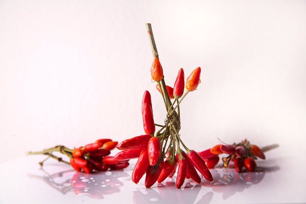 Chilli papričky chili 664635 960 720