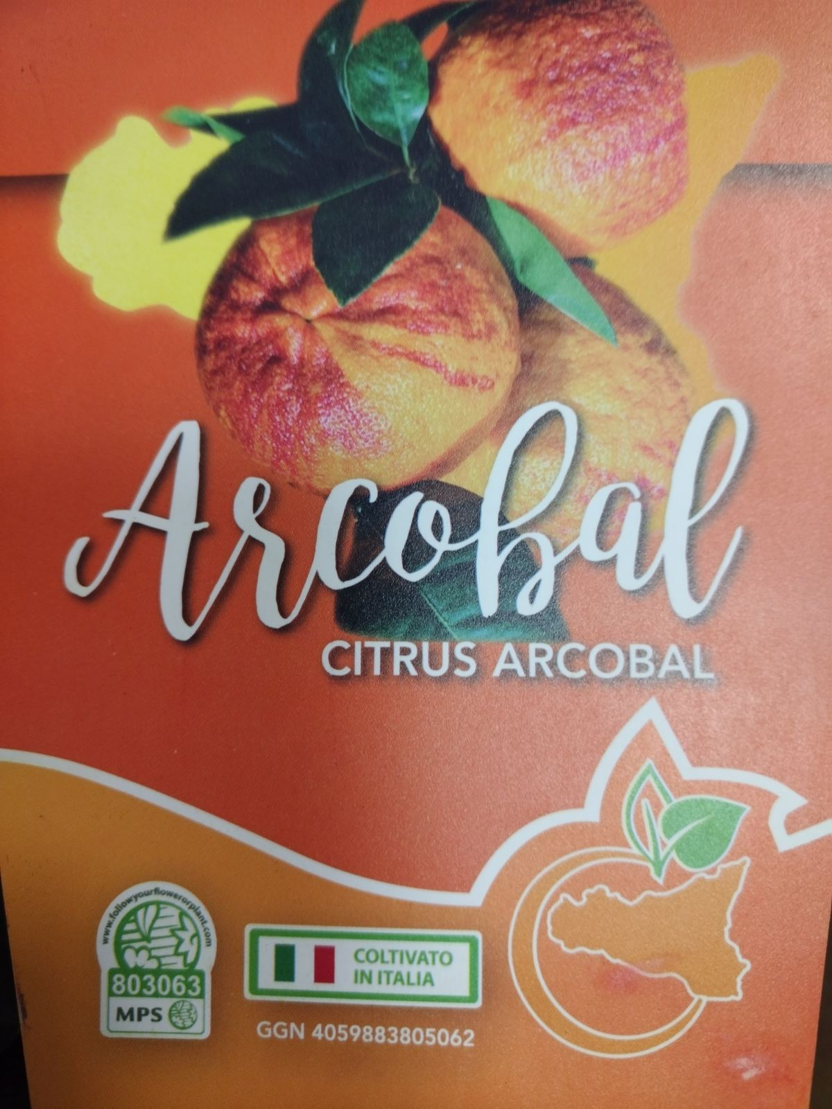 Pomeranč Arcobal - 2.jakost