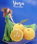 Citrón Lemon YUZU - junos - 2. jakost
