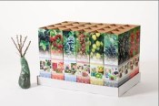 ostruzina-blackberry-rubus-thornless-evergeen