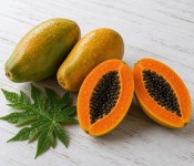Papája - Papaya carica velká rostlina - nezasíláme - pouze na prodejně (2/2)