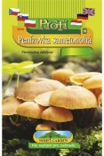 Sadba Penízovka sametonohá