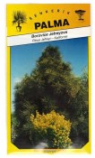 Semena Borovice blatka – Pinus uncinata