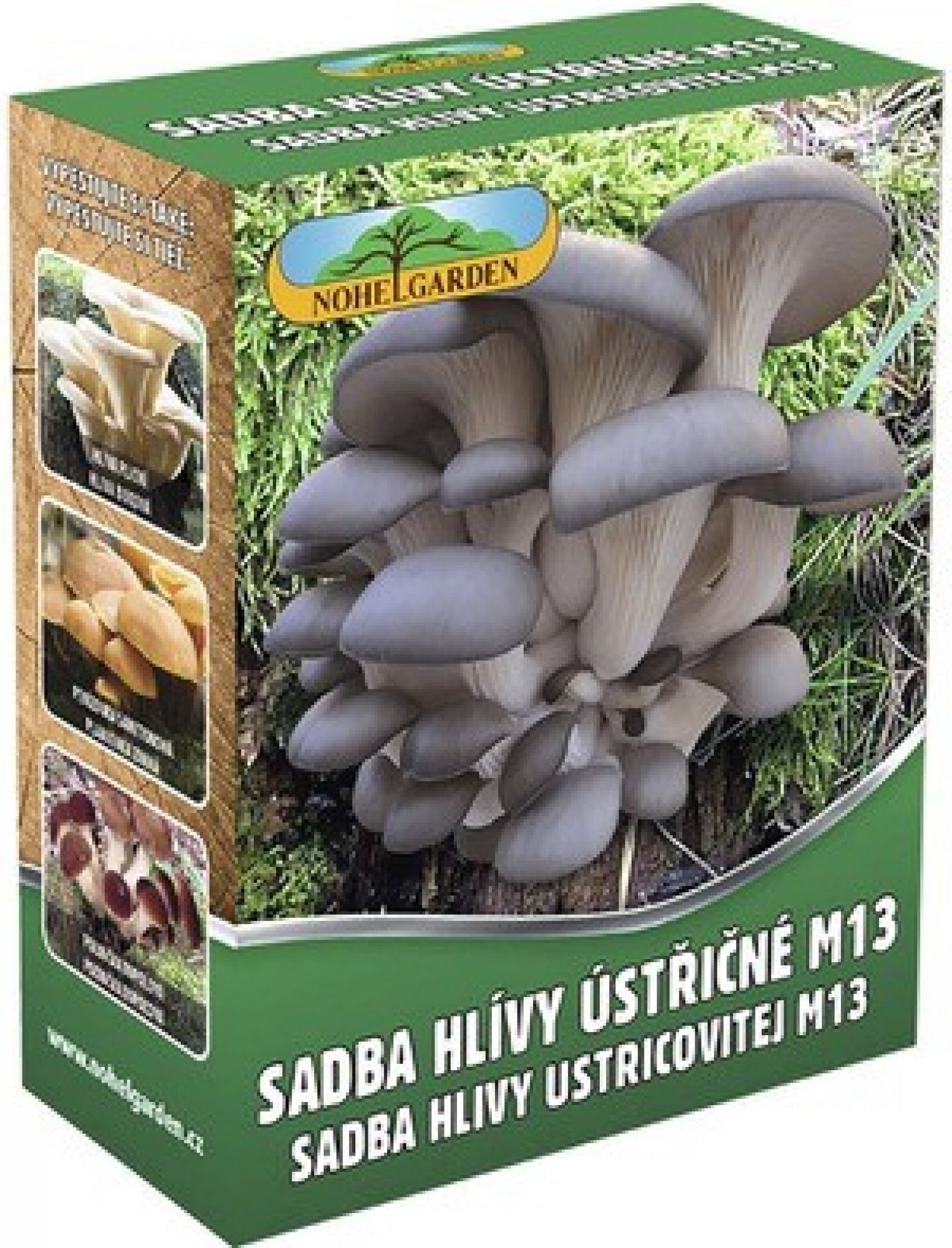 Sadba Hlíva ústřičná typ m13 velké balení 250 ml