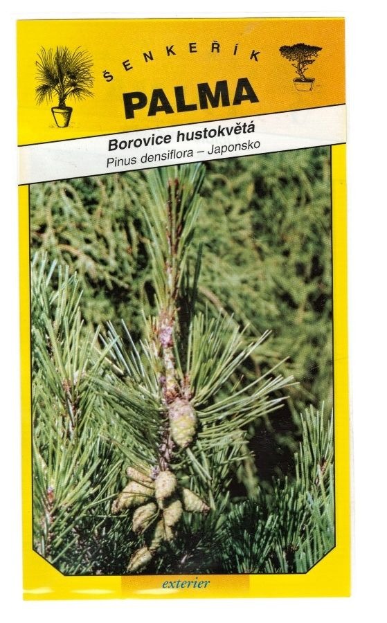 Semena Borovice blatka – Pinus uncinata