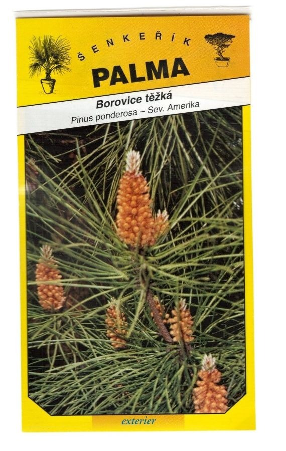 Semena Borovice blatka – Pinus uncinata