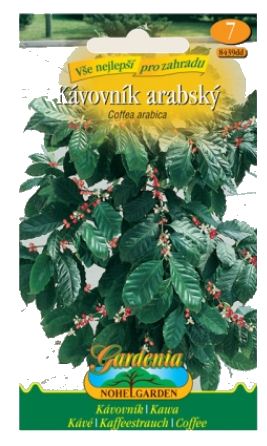 Semena kávovník coffea arabica