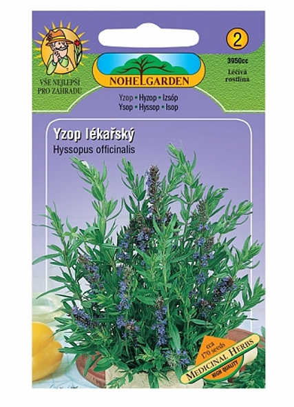  Semena Yzop lékařský - Hyssopus officinalis 2.jakost